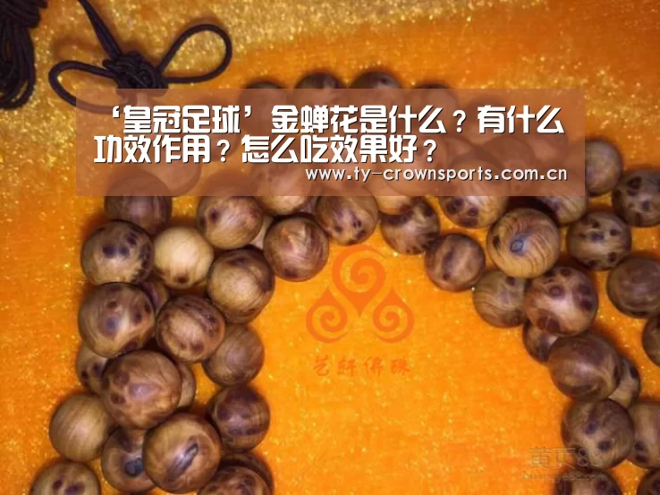 ‘皇冠足球’金蝉花是什么?有什么功效作用?怎么吃效果好?(图1) 皇冠足球